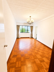 The Cairnhill (D9), Condominium #578507871
